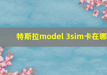 特斯拉model 3sim卡在哪